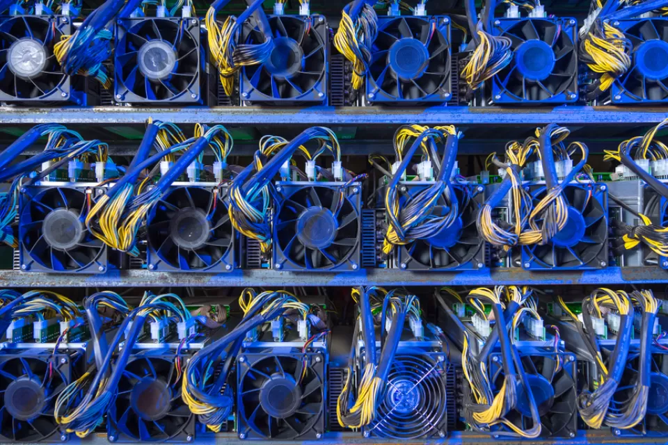 Wall of computer servers with blue and yellow cables for cryptocurrency mining